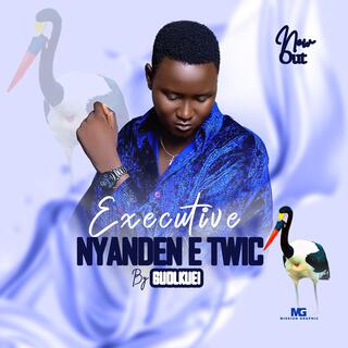 Executive nyanden e twic