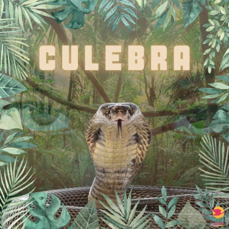 Culebra | Boomplay Music