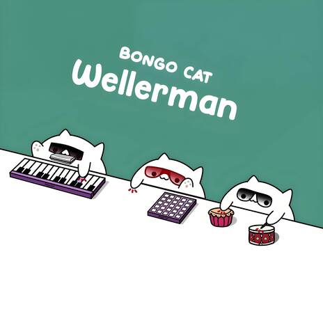 Wellerman | Boomplay Music