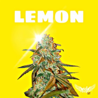 Lemon TRAP BEAT