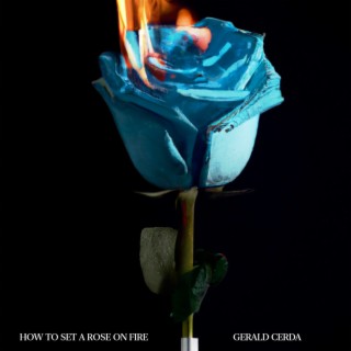 How to Set a Rose on Fire