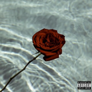 Dead Roses ft. VNNY lyrics | Boomplay Music