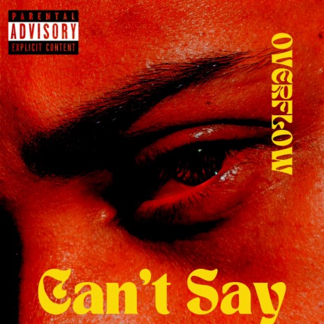 Can't Say | Boomplay Music