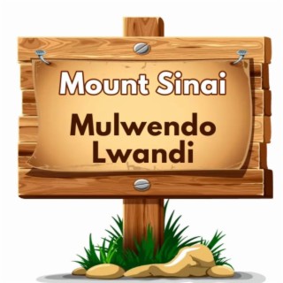 Mount Sinai Mulwendo Lwandi