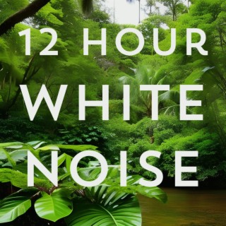 Rain White Noise for Baby Sleep 12 Hours