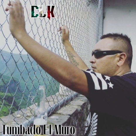 Tumbando el Muro | Boomplay Music