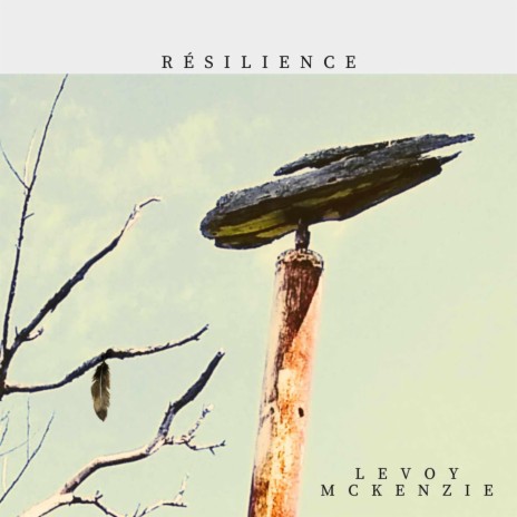 Résilience ft. Laurent McKenzie | Boomplay Music