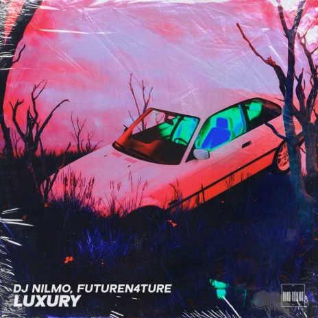 Luxury ft. FutureN4ture