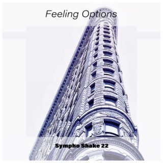 Feeling Options Sympho Shake 22