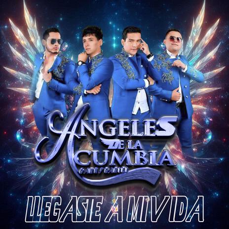 Llegaste A Mi Vida | Boomplay Music