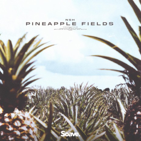 Pineapple Fields | Boomplay Music