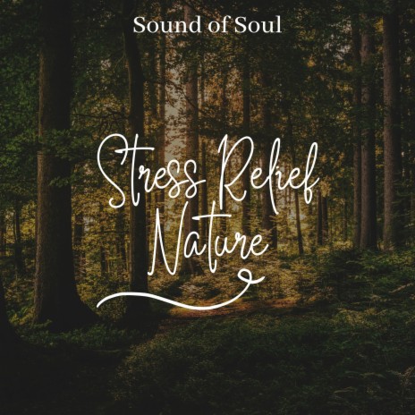 Stress Relief Meditation | Boomplay Music