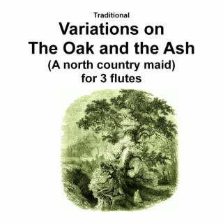 Variations on The Oak and the Ash (A north country maid) for flute trio