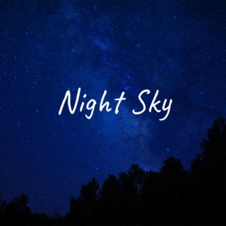 Night Sky