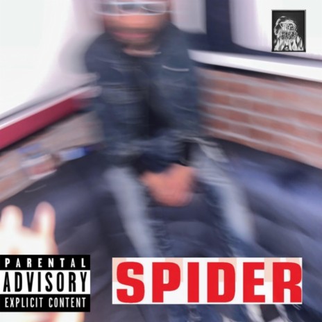Spider | Boomplay Music
