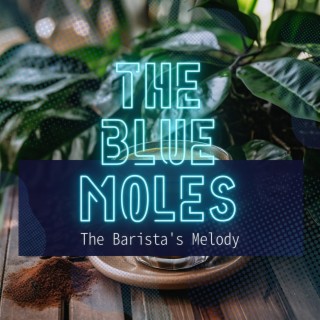 The Barista's Melody