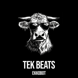 Tek Beats