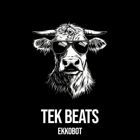 Tek Beats | Boomplay Music