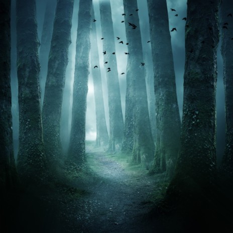 Lost in the Enchanted Woods | Boomplay Music