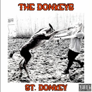 St. Donkey