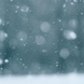 white sparrow in the snow lyrics | Boomplay Music