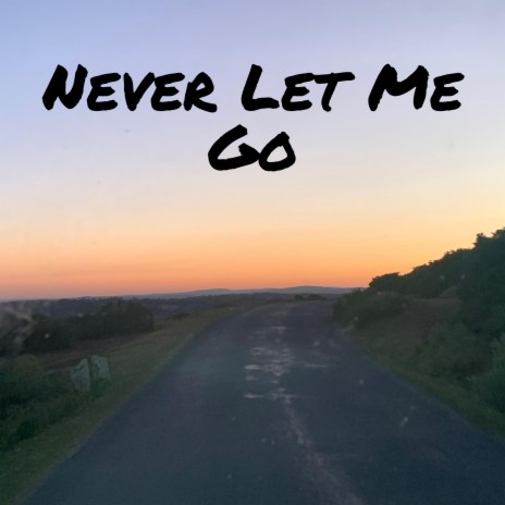 Never Let Me Go | Boomplay Music