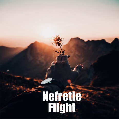 Flight | Boomplay Music