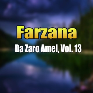 Da Zaro Amel, Vol. 13