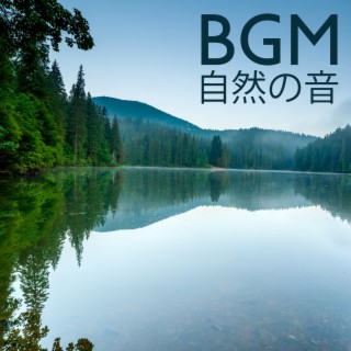 BGM 自然の音: 歌う鳥、 滝、 バブリング・ブルックス & 自然の森の雰囲気