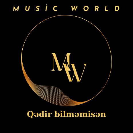 Qədir bilməmisən | Boomplay Music