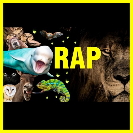 Rap de Los Animales | Aprende los 263 Animales en un Rap | Boomplay Music