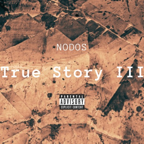 True Story III | Boomplay Music