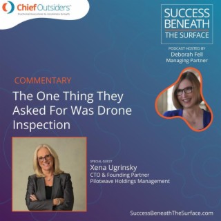EP18: The One Thing They Asked for Was Drone Inspection