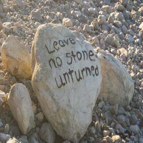 Leave No Stone Unturned | Boomplay Music