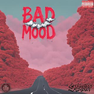 Bad Mood lyrics | Boomplay Music