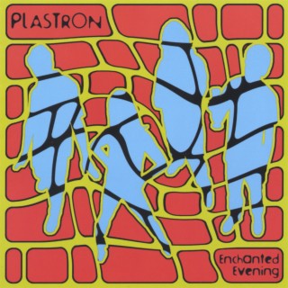 Plastron