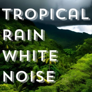 Tropical Rain White Noise 12 Hours