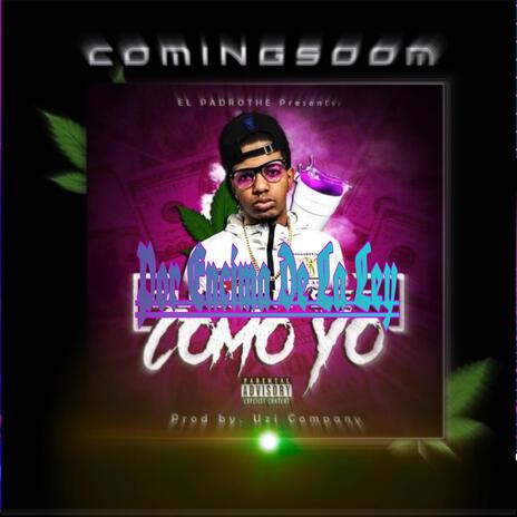 Por encima de la ley | Boomplay Music