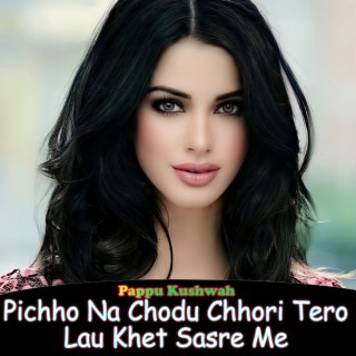 Pichho Na Chodu Chhori Tero Lau Khet Sasre Me