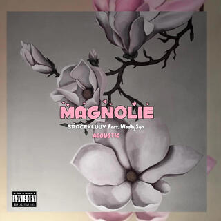 magnolie (acoustic)