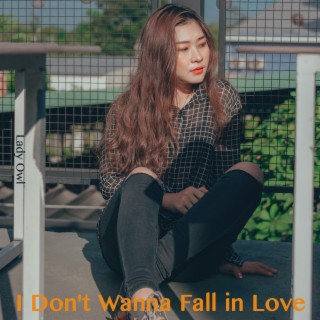 I Don't Wanna Fall In Love