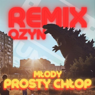 PROSTY CHŁOP (REMIX)