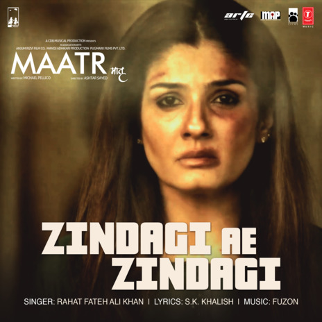 Zindagi Ae Zindagi (From Maatr) | Boomplay Music