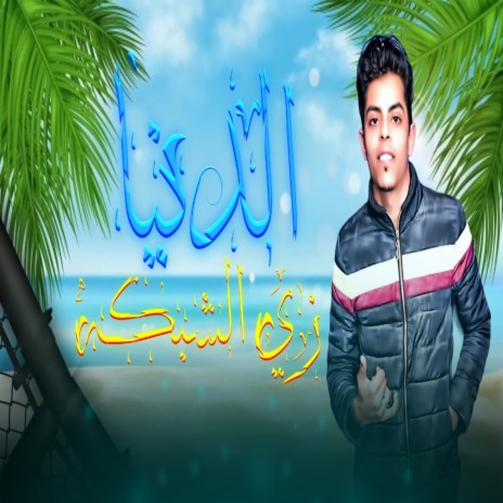 الدنيا زي الشبكه | Boomplay Music