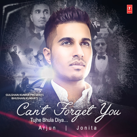 Can't Forget You (Tujhe Bhula Diya) ft. Jonita Gandhi & Vishal-Shekhar | Boomplay Music