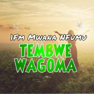 1FM Mwana Mfumu Tembwe Wangoma lyrics | Boomplay Music