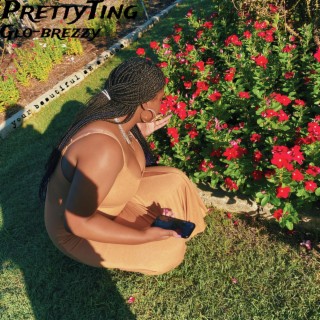 PT (PrettyTing)