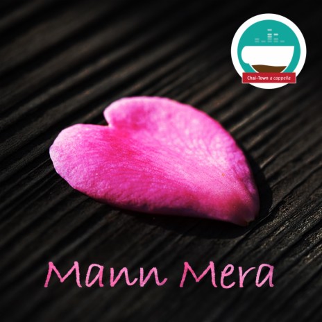 Mann Mera ft. Tanmay Mishra, Aalok Gandhi, Abhishek Badhuri & Ali Nizamani | Boomplay Music