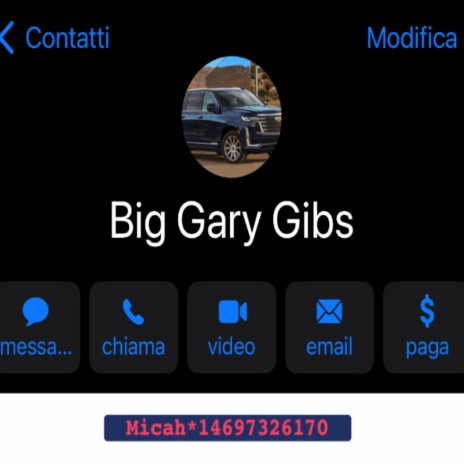Big Gary Gibs | Boomplay Music