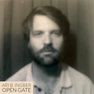 Ari B. Ingber